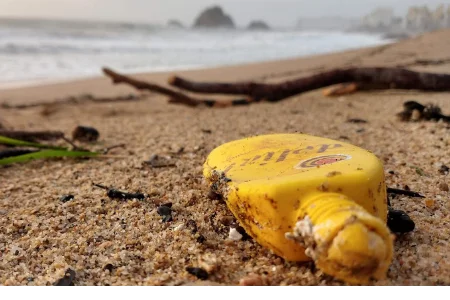 Plastikmüll am Strand - aus dem Artikel - Wie Recycling wirklich nachhaltig funktionieren kann